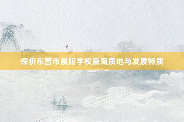 探析东营市晨阳学校熏陶质地与发展特质