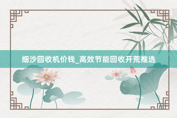 细沙回收机价钱_高效节能回收开荒推选