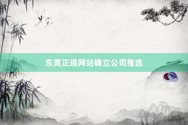 东莞正规网站确立公司推选